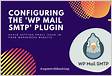 How to configure WP Mail SMTP plugin for localhos